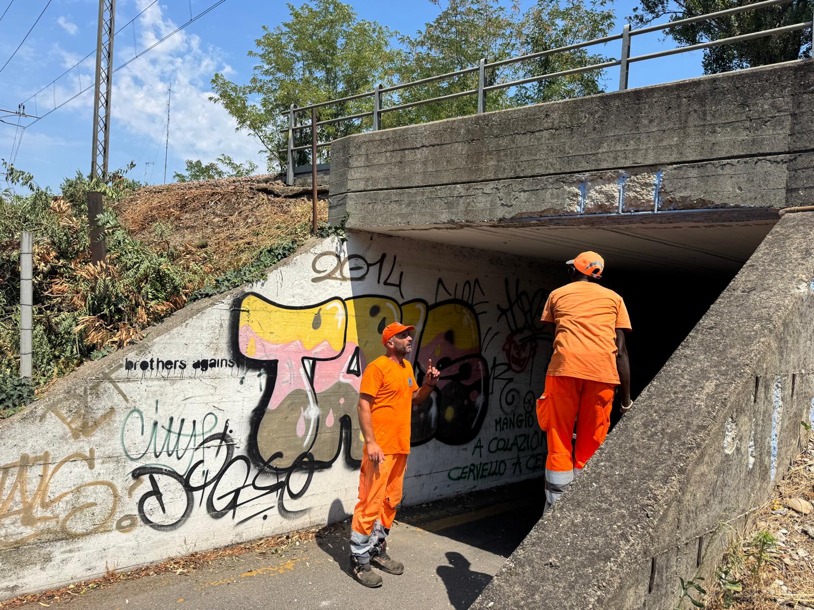 Katik impresa edile Bologna