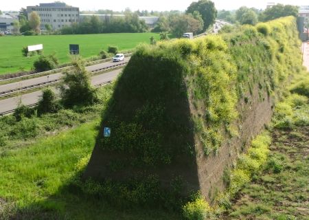 Servizi di manutenzione del verde pubblico Bologna
