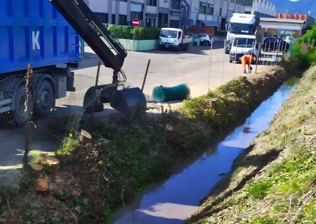 Manutenzione aree verdi Bologna e creazione giardini