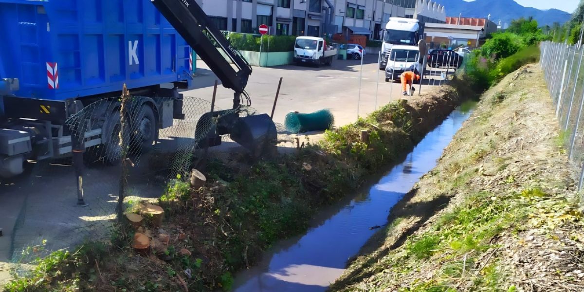 Manutenzione aree verdi Bologna e creazione giardini